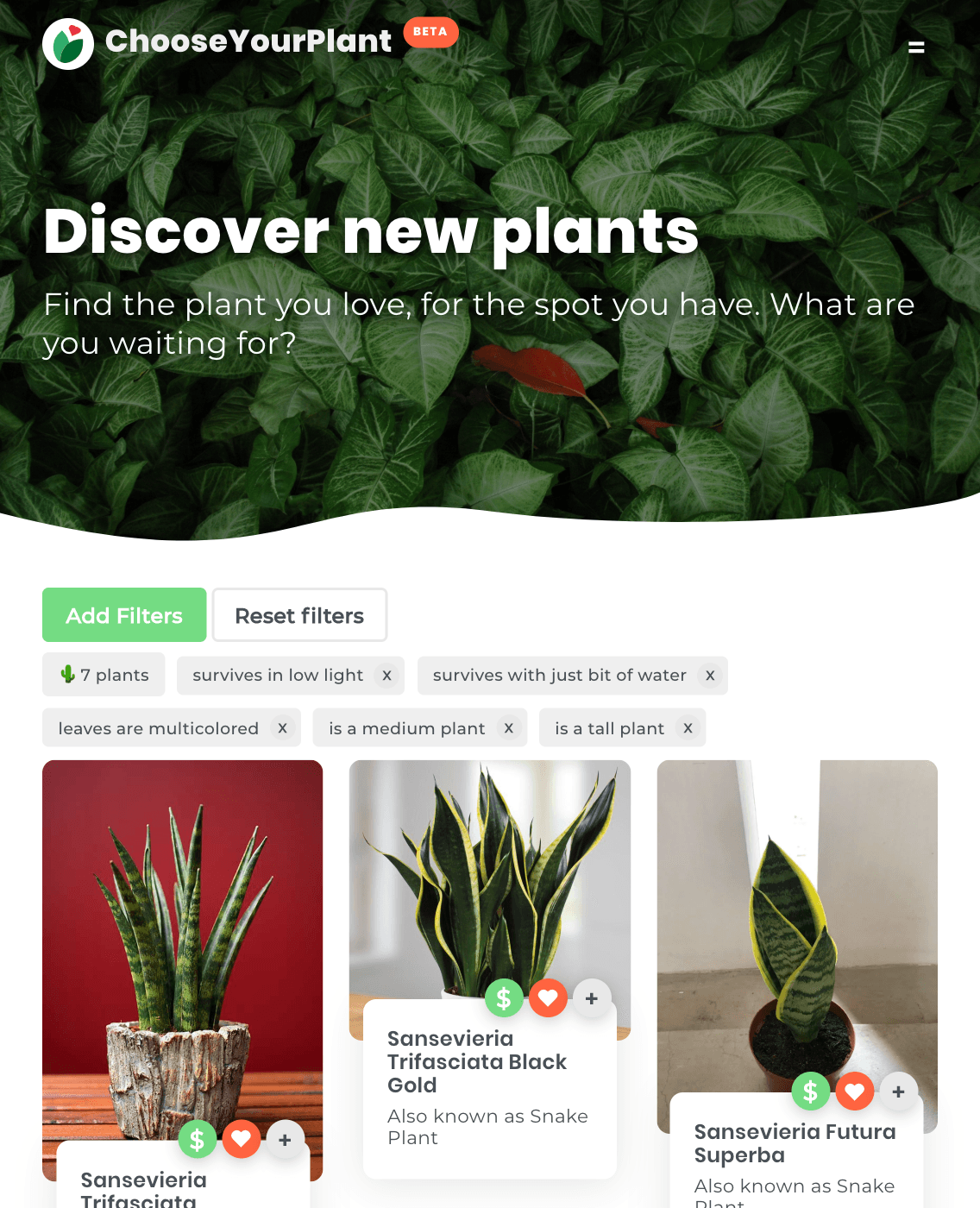 Aspecto visual de la búsqueda de una planta en la aplicación Chooseyourplant