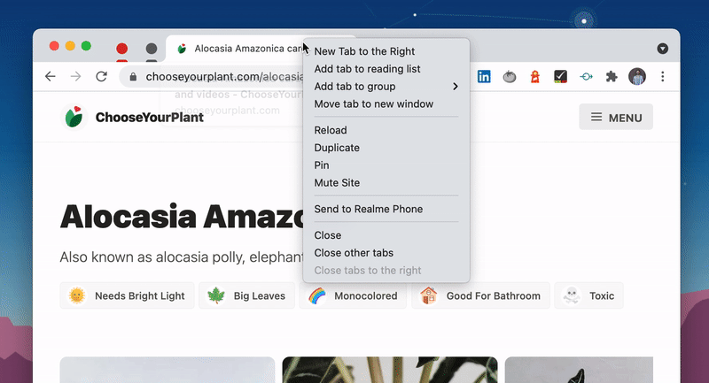 Steps to create a new tab group: Right-click on the tab, click on "add tab to group" and then "new group". A small window will come up to provide a title and select a color for the new tab group.