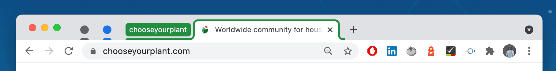 Google Chrome tabs without title but showing the color circle